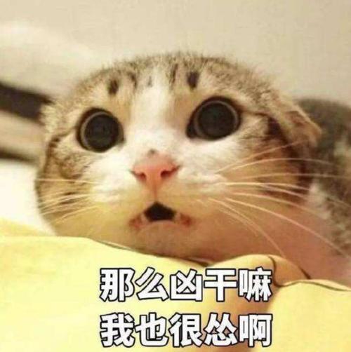 幽默笑话读高中那会儿,一天放学时,班花偷偷塞给我一张纸条