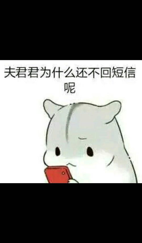 求小仓鼠hamham的表情包老公老婆,小娘子,夫君君系列的