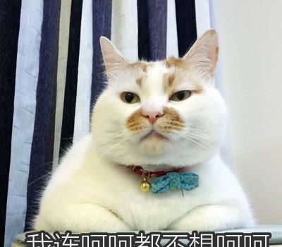 每日一笑你骗人,我从来没听说过空气差会影响孩子的长相