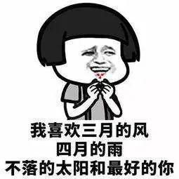 土味告白表情包集锦,给你520的表白助攻