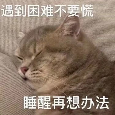 动物表情包,太可爱啦