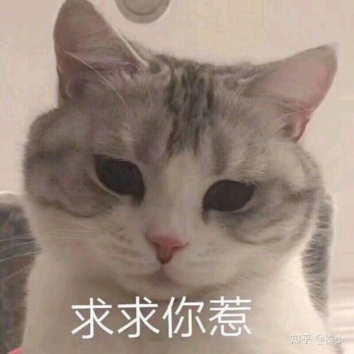 女生和女生都有哪些甜甜的故事啊