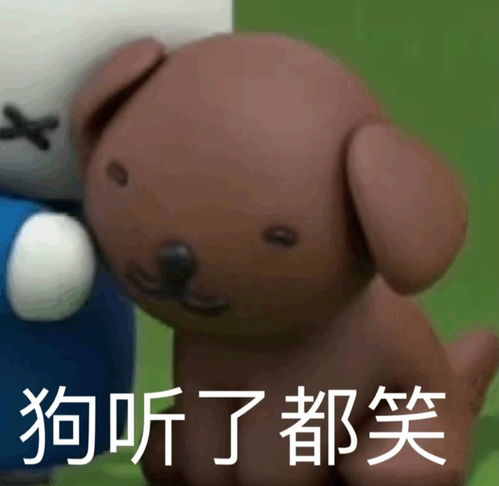 很烦大小姐室友,谁懂