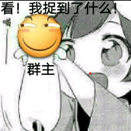 滑稽表情包超级小合集