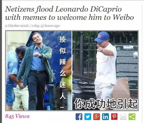 喜迎小李子开微博中国表情包界欢迎你