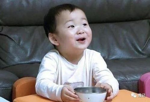 外甥是狗,吃饱就走豫记