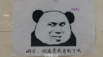 厉害了我的川农大食堂魔性表情包刷爆高校朋友圈
