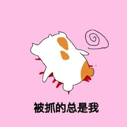 王者荣耀表情包之仓鼠表情包我又以为能一打五