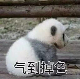 杭州车主们注意啦再也不用打114,现在3秒钟就能挪车火速转发这个绝招...