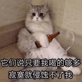 激光猫猫表情包延迟退休