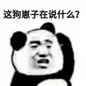 熊猫头表情包i出来聊天啊我介绍女朋友给你