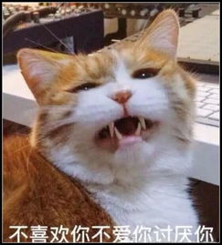 表情包不喜欢你不爱你讨厌你