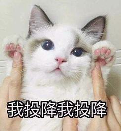 老娘100多入手的毛衣在闲鱼上卖4块钱她们还让我顺丰包邮zaker新闻