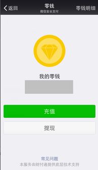 微信钱包零钱提现什么意思