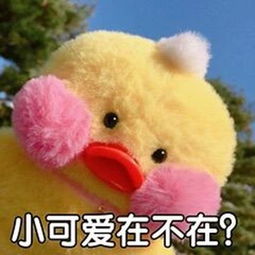 女子好心投喂浣熊,扔完一看后悔了现在跳下去捡还来得及吗