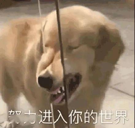 速进娱乐圈都不敢得罪霸总的大瓜