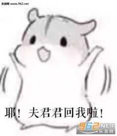 七夕找对象表情包七夕仓鼠找夫君表情包无水印版下载乐游网手机下载站