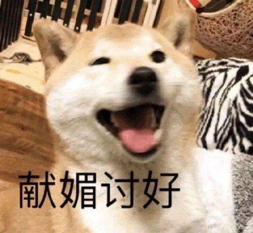 权益部立冬将至权益部喊你穿秋裤
