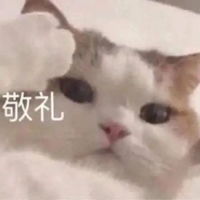 敬礼表情包可爱