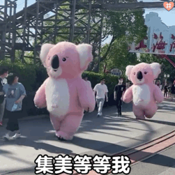 超火粉色考拉表情包