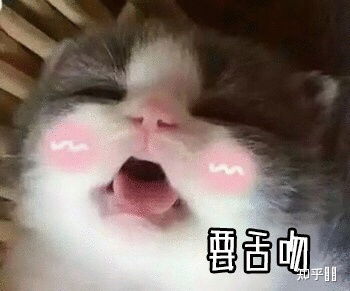 les.你们第一次亲吻什么感觉