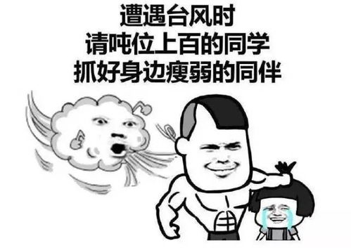 紧急台风来袭,青岛今天大雨狂风,黄岛局部大暴雨防台风须知