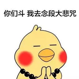 表情包丨你们斗,我去念段大悲咒