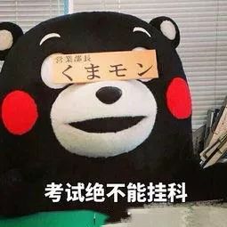 元旦喜迎金猪