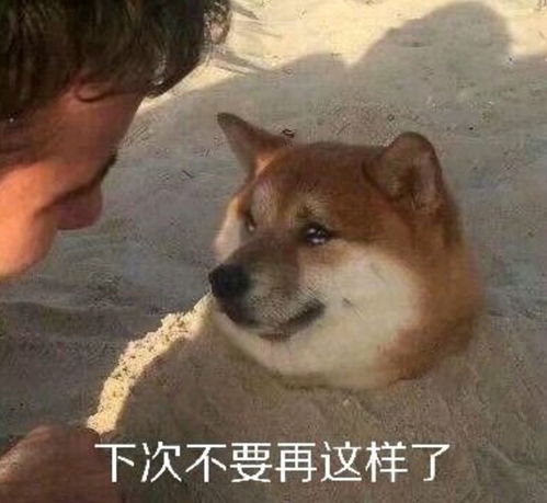 真是有趣的一天呢微笑