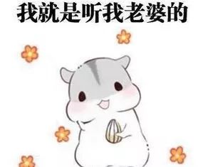 叫老公的表情包老婆