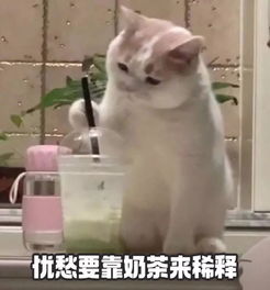 10秒快速消除饥饿感,妈妈再也不用担心我减肥会饿了真人实测