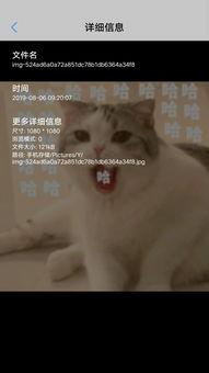 请问怎么把存进微信的表情缩小