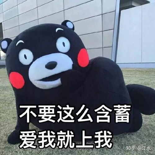有哪些看上去是在开车但你却没有证据的图或者表情包