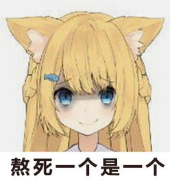 花园serena表情花园猫表情