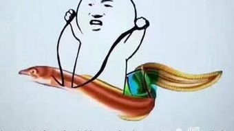 前有黄鳝进洞后有国足破门黄鳝我们走表情包跟国足争头条