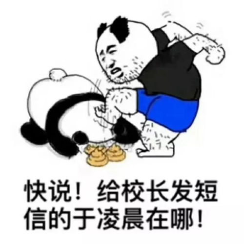 于凌晨你给我出来这个学霸今天刷屏,只因给校长发了一条短信网友他还活着吗
