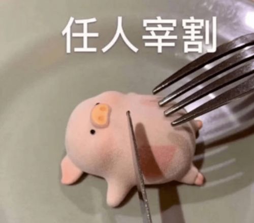 留学回国之后,我再也不肯承认自己是个普通人