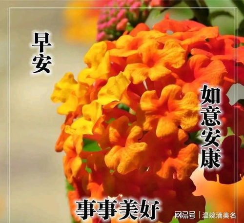 不去自卑把每一次的成功都想象成一种幸运,早安