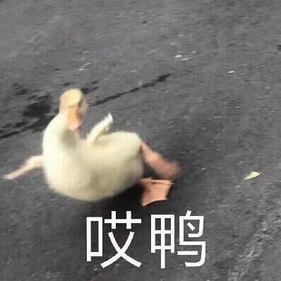 我来了表情包可爱沙雕