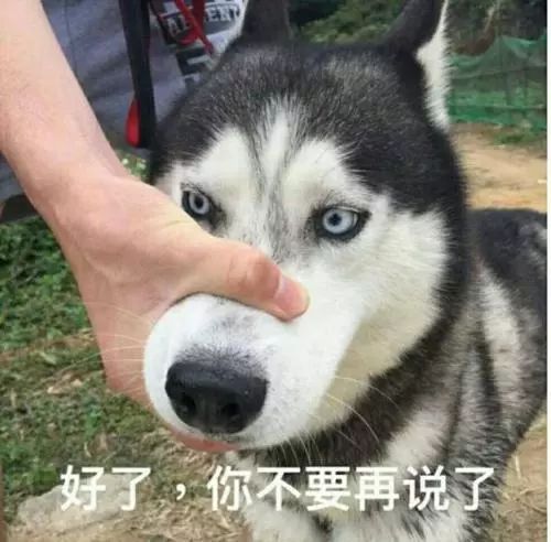 电子会员专属立减券快来领走