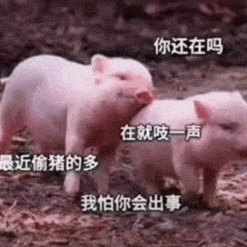沙雕表情包丨布置作业睡前想我