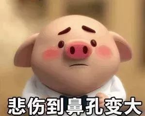 无需担心非洲猪瘟不传染人,猪肉可以放心吃