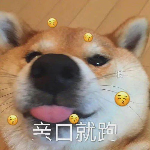 在老公拍的视频里,发现儿子好像不是我亲生的这痛,谁懂啊哈哈哈哈哈哈