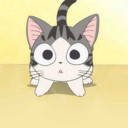 甜甜私房猫表情包png老布