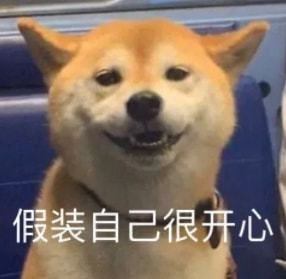 百人相亲群今天建群趁国庆节把单脱了,群里还将发起自助出游活动