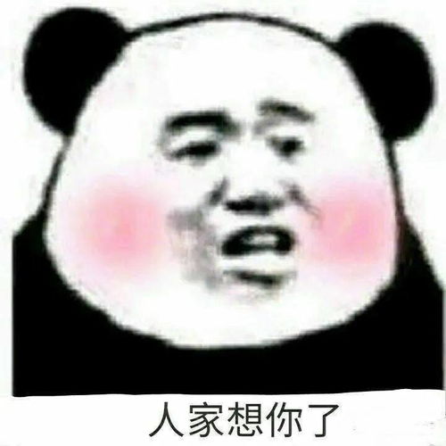 小情侣聊天表情包说不过你但我喜欢你
