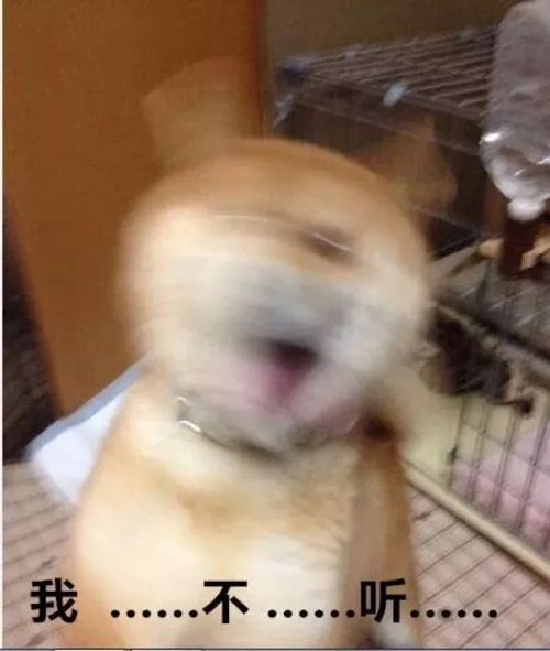 快递员不满双11提前上班,直接踢飞包裹