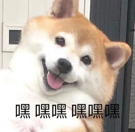 极品表情包又是我的错该不会是想骗我的感情吧
