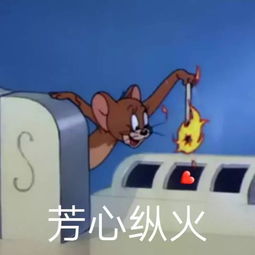 你这辈子,有没有为考试拼过命