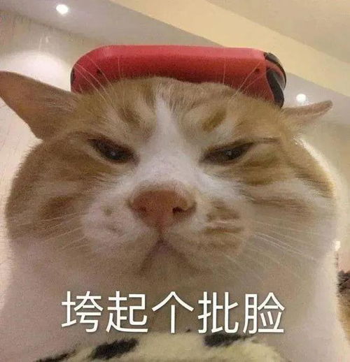 糟糕竟然挖到这么低淀粉的进口粮...